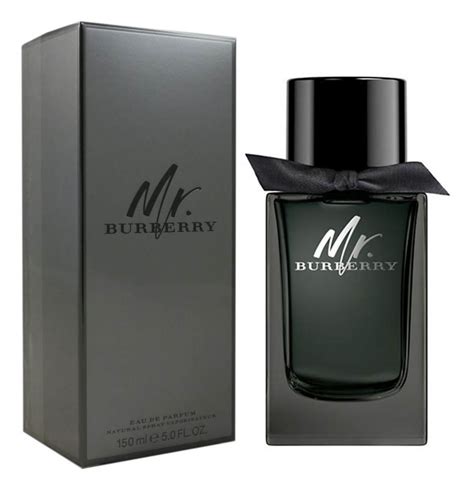 mr burberry duschgel|mr burberry eau de parfum.